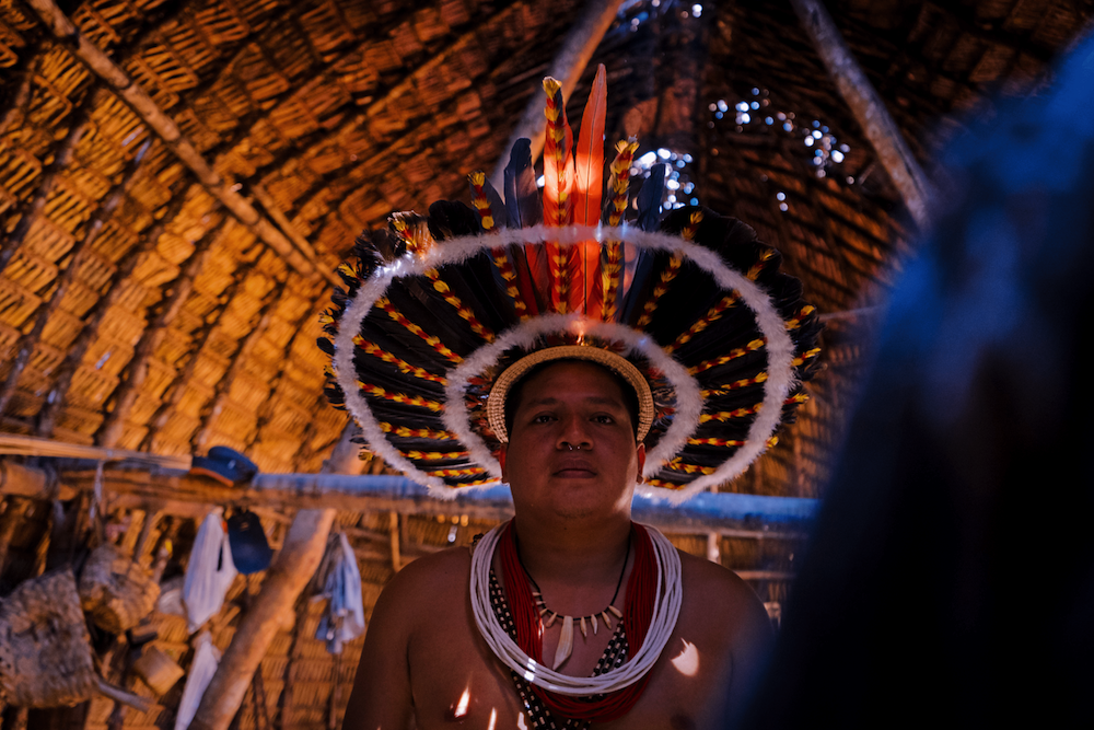 Amazon jungle Monograma NFT to raise awareness
